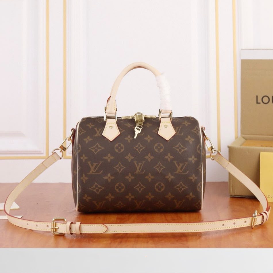 LV Speedy Bag 25 cm