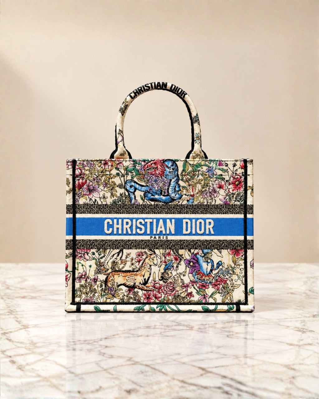 DIOR Book Tote Medium 36cm Master