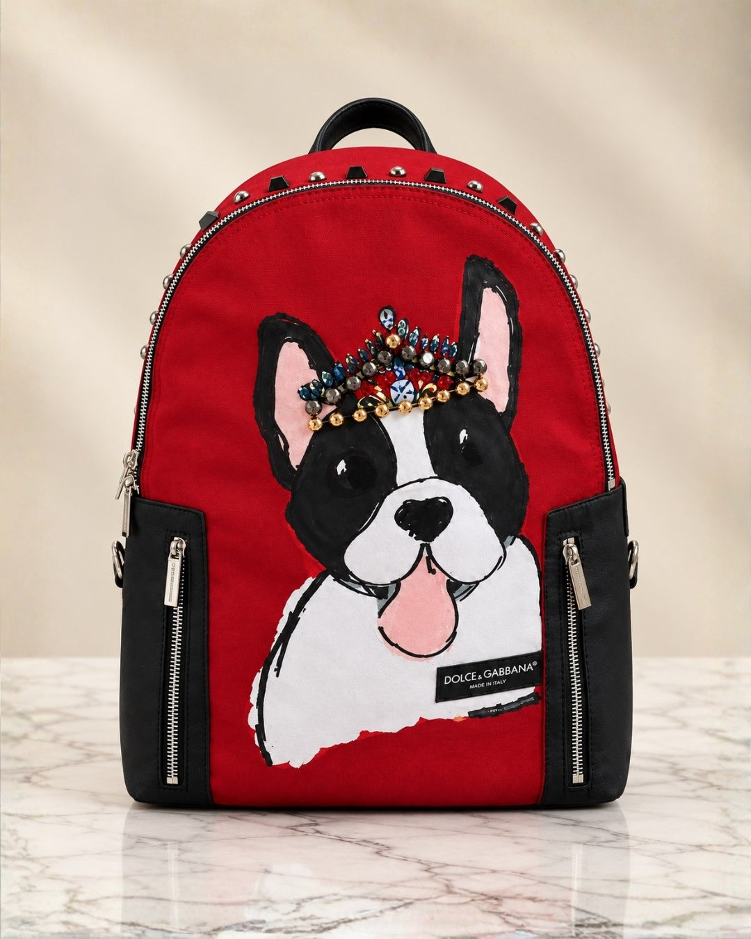 D&G Dog Backpack 40cm A+