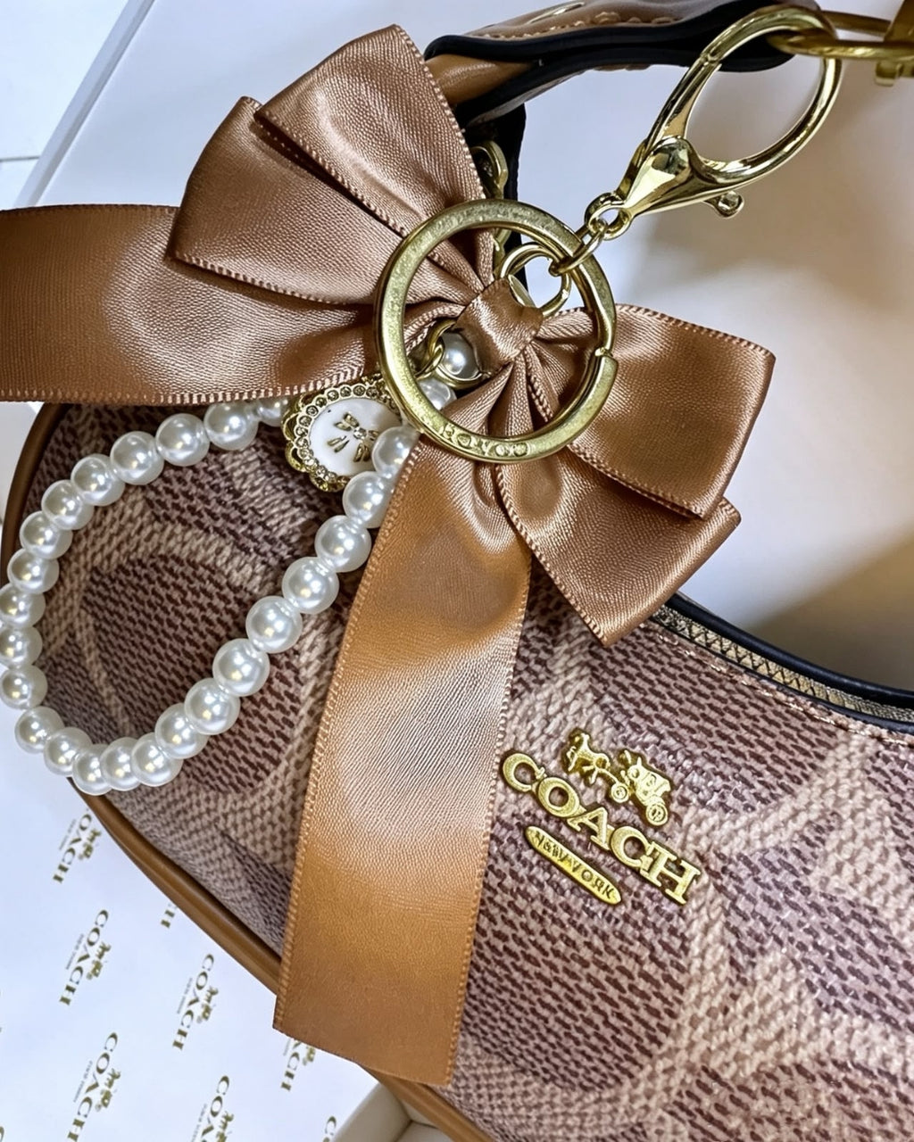 COACH Mini Hobo Gift Set 22cm
