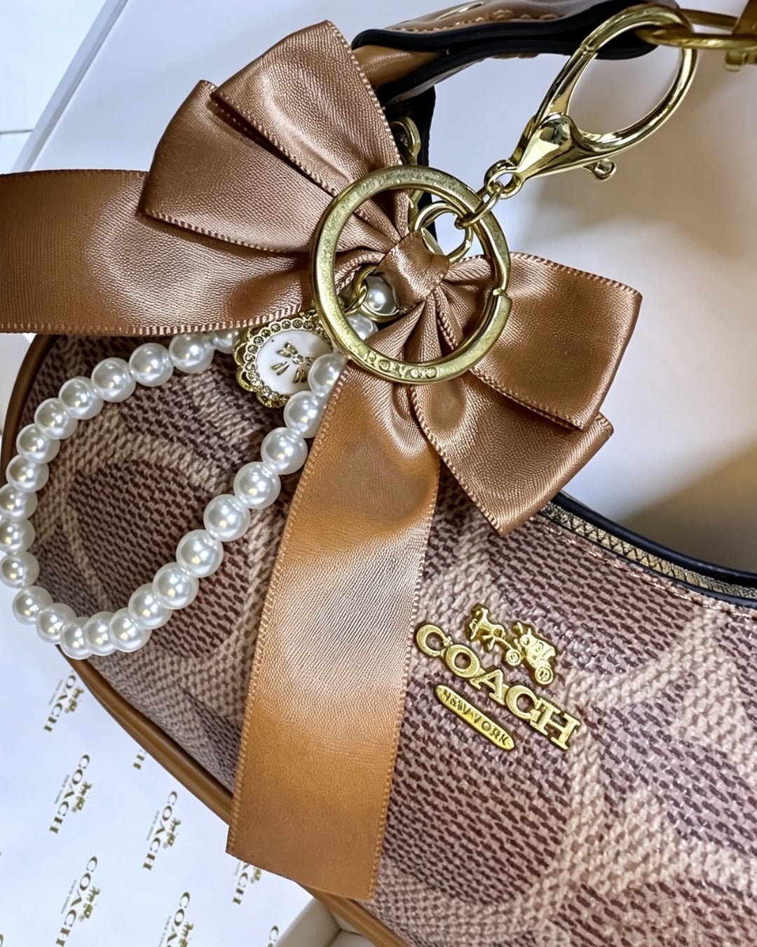 COACH Mini Hobo Gift Set 22cm
