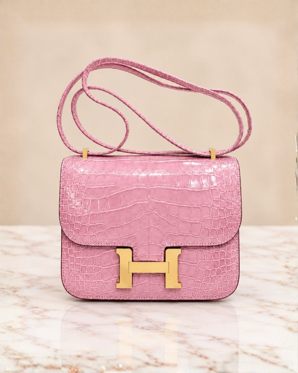 Hermès Croc Shoulder Bag 20cm