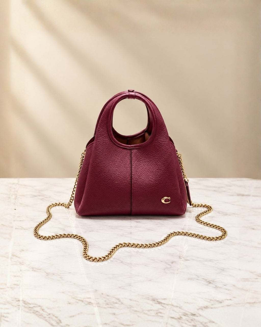COACH Lana Small 20cm