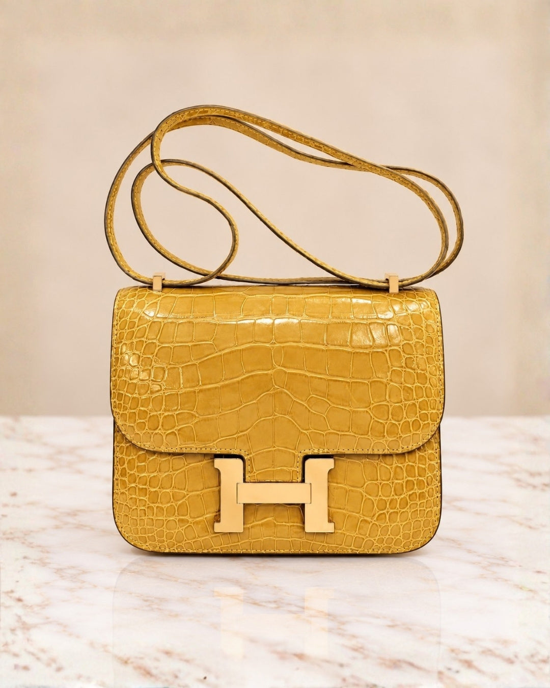 Hermès Croc Shoulder Bag 20cm