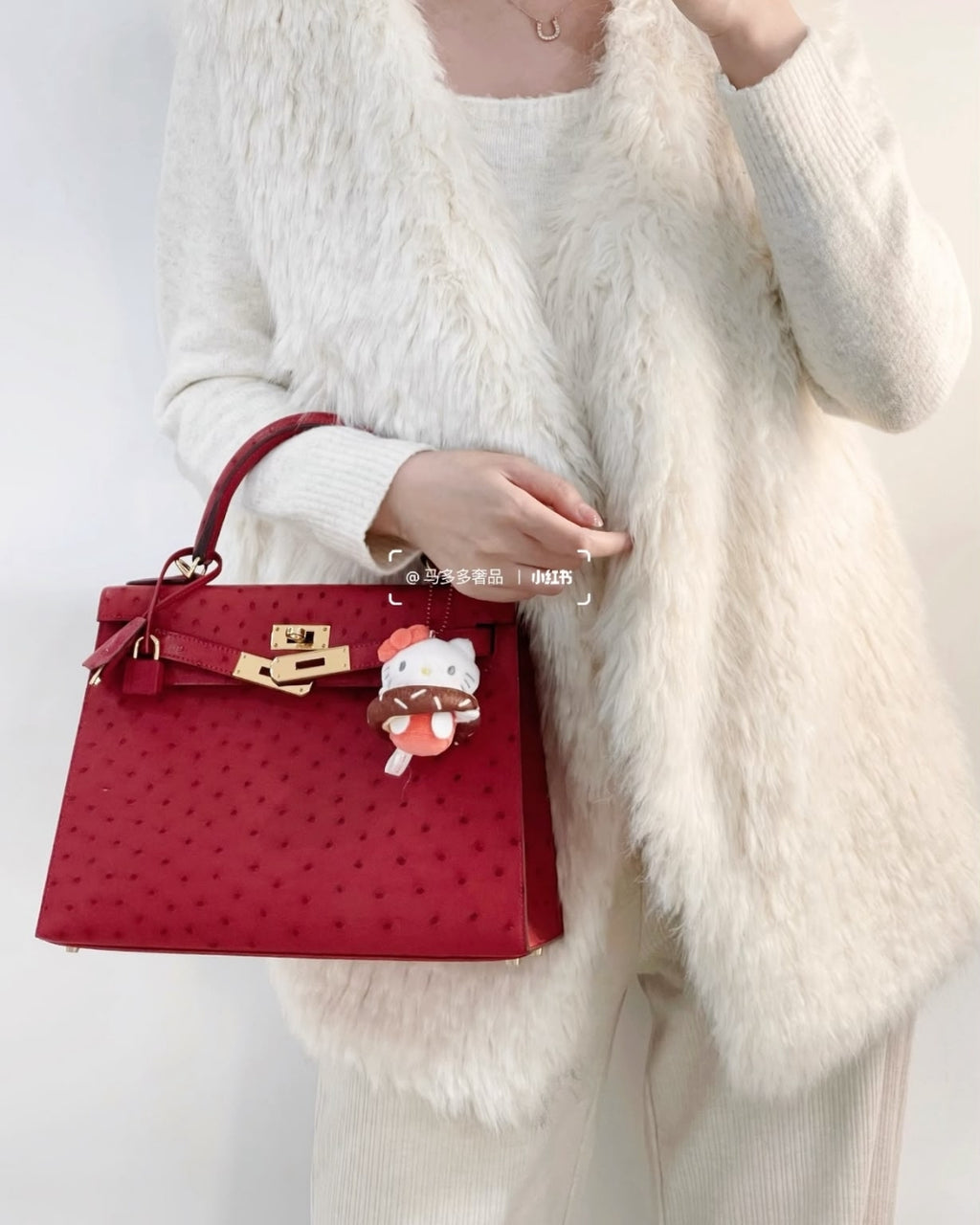 HERMES Kelly 25 Ostrich-Embossed Bag