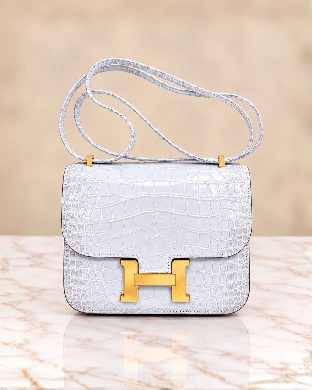 Hermès Croc Shoulder Bag 20cm