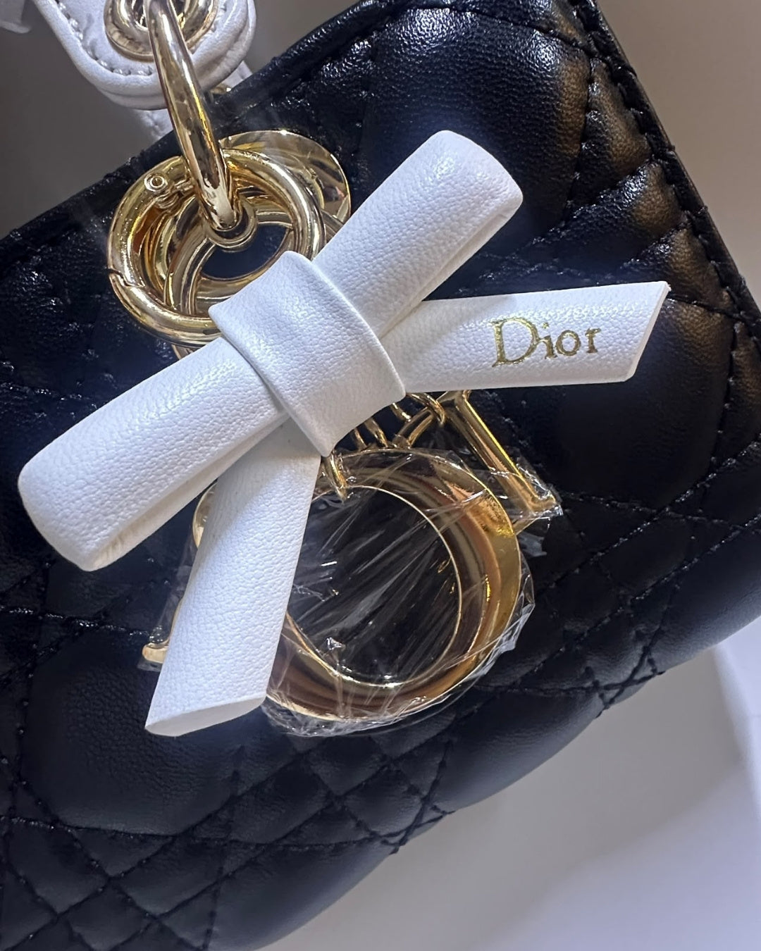 LADY DIOR Mini 22cm A+