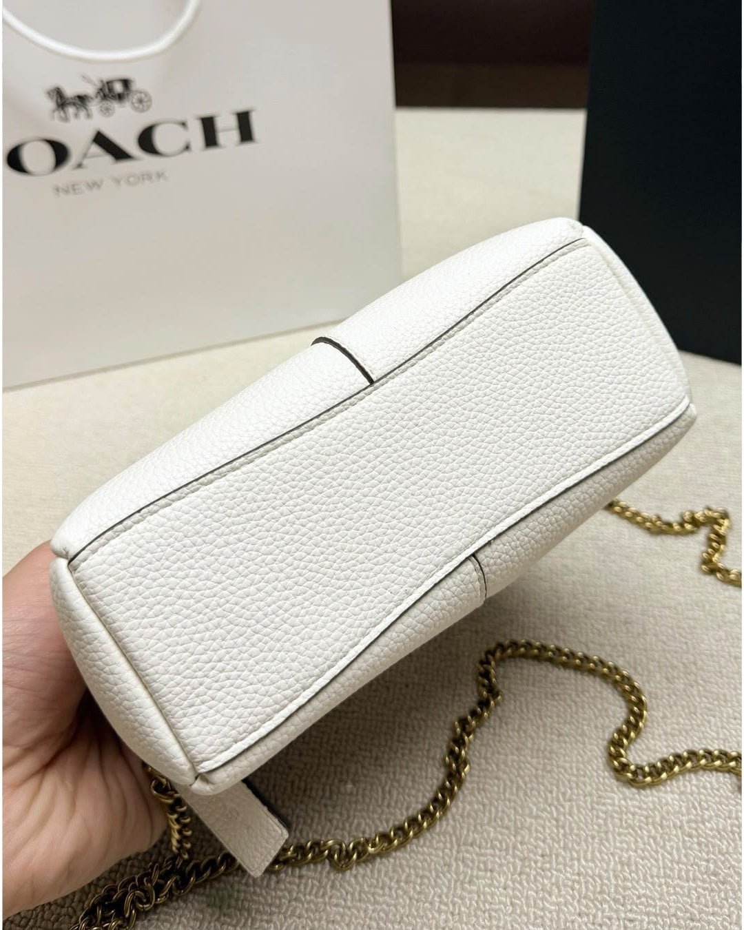 COACH Lana Small 20cm