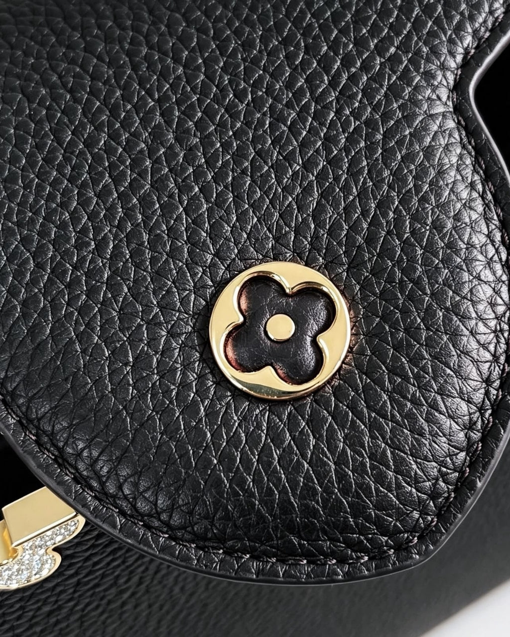LV Capucines Medium 27cm