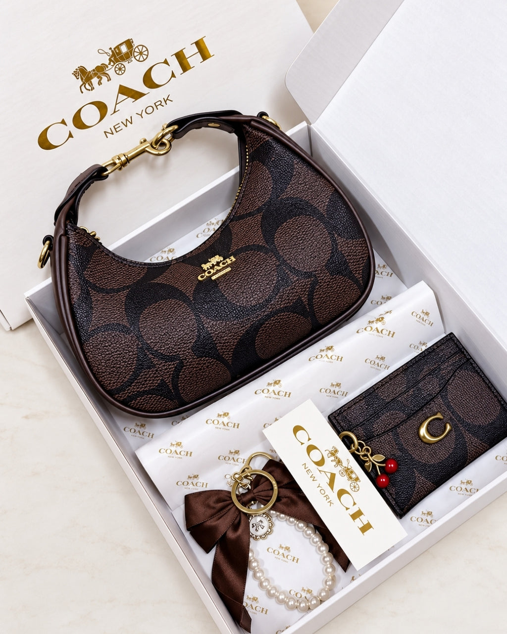 COACH Mini Hobo Gift Set 22cm