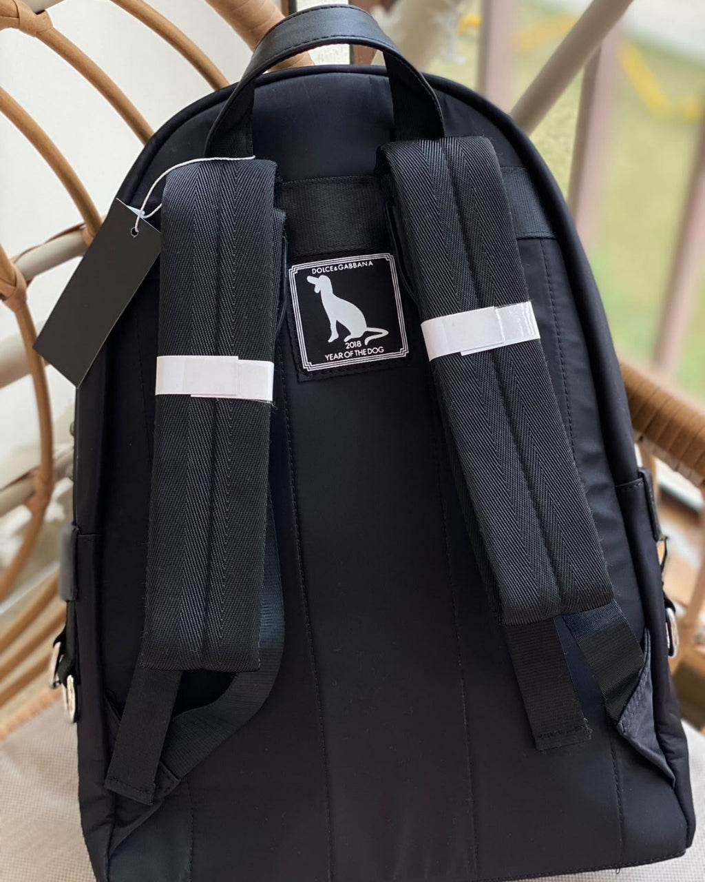 D&G Dog Backpack 40cm A+