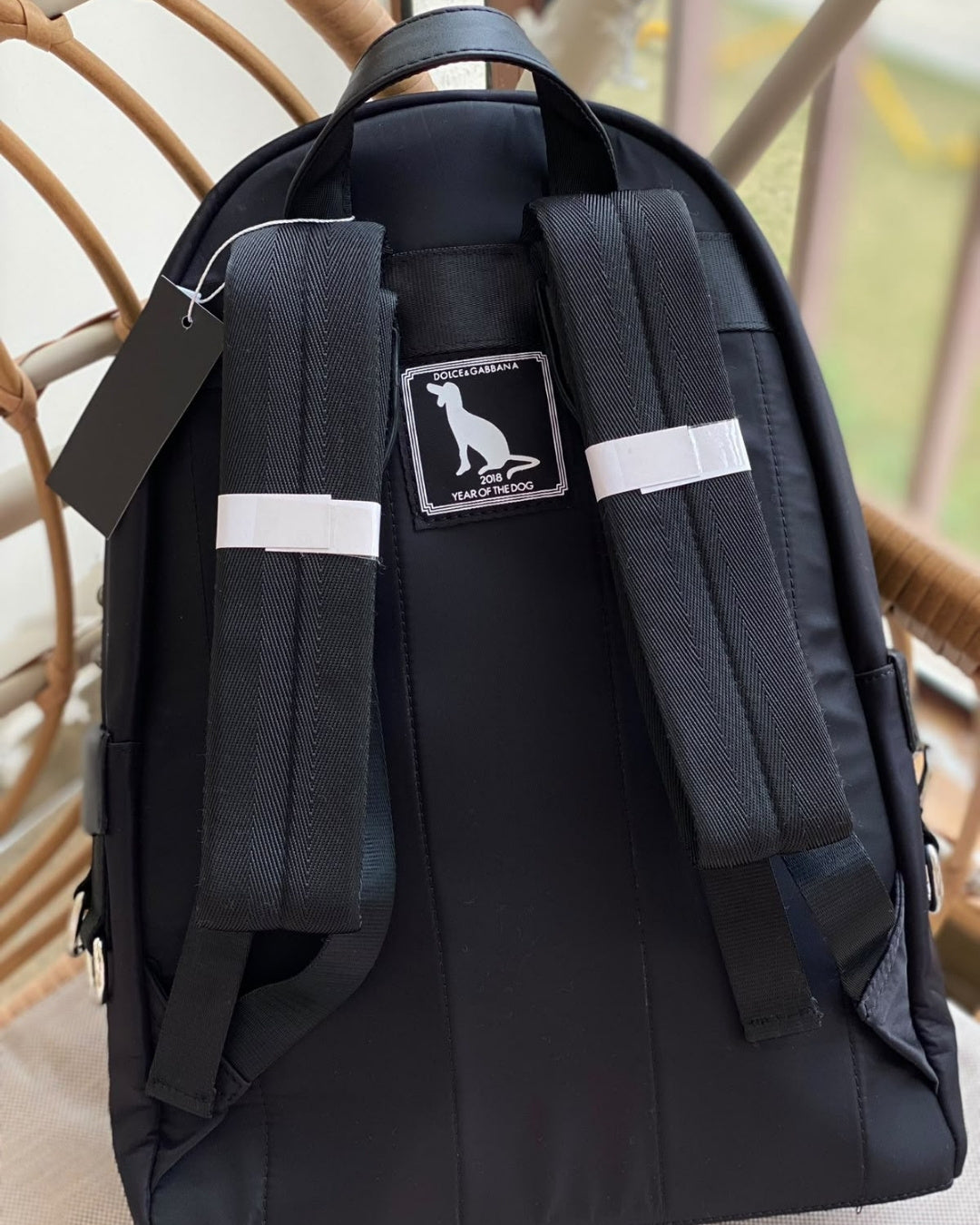 D&G Dog Backpack 40cm A+