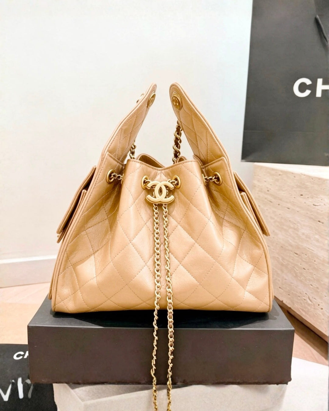 CHANEL 25 Bag