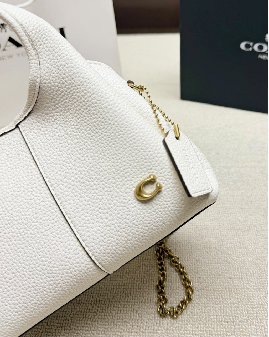 COACH Lana Small 20cm