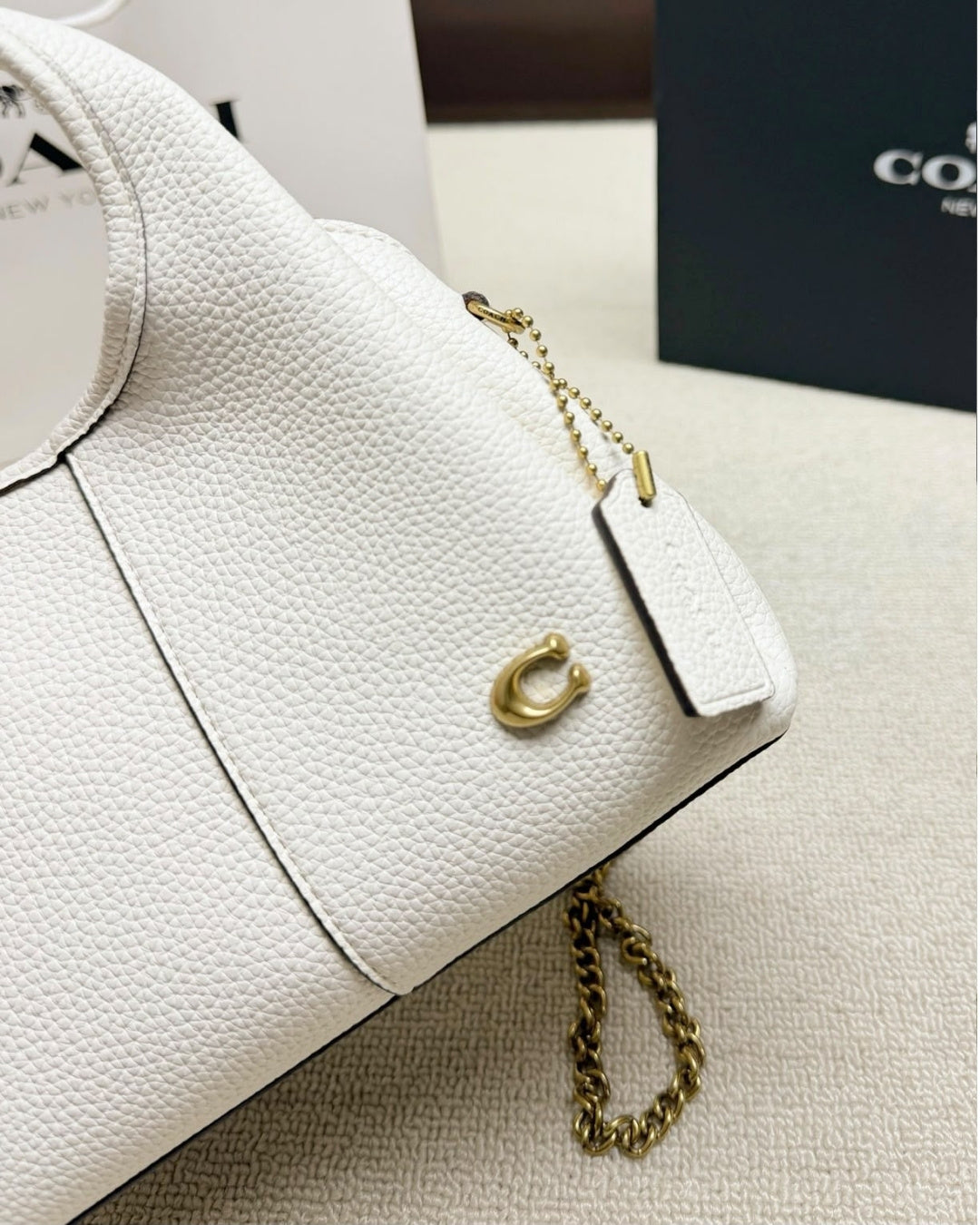 COACH Lana Small 20cm