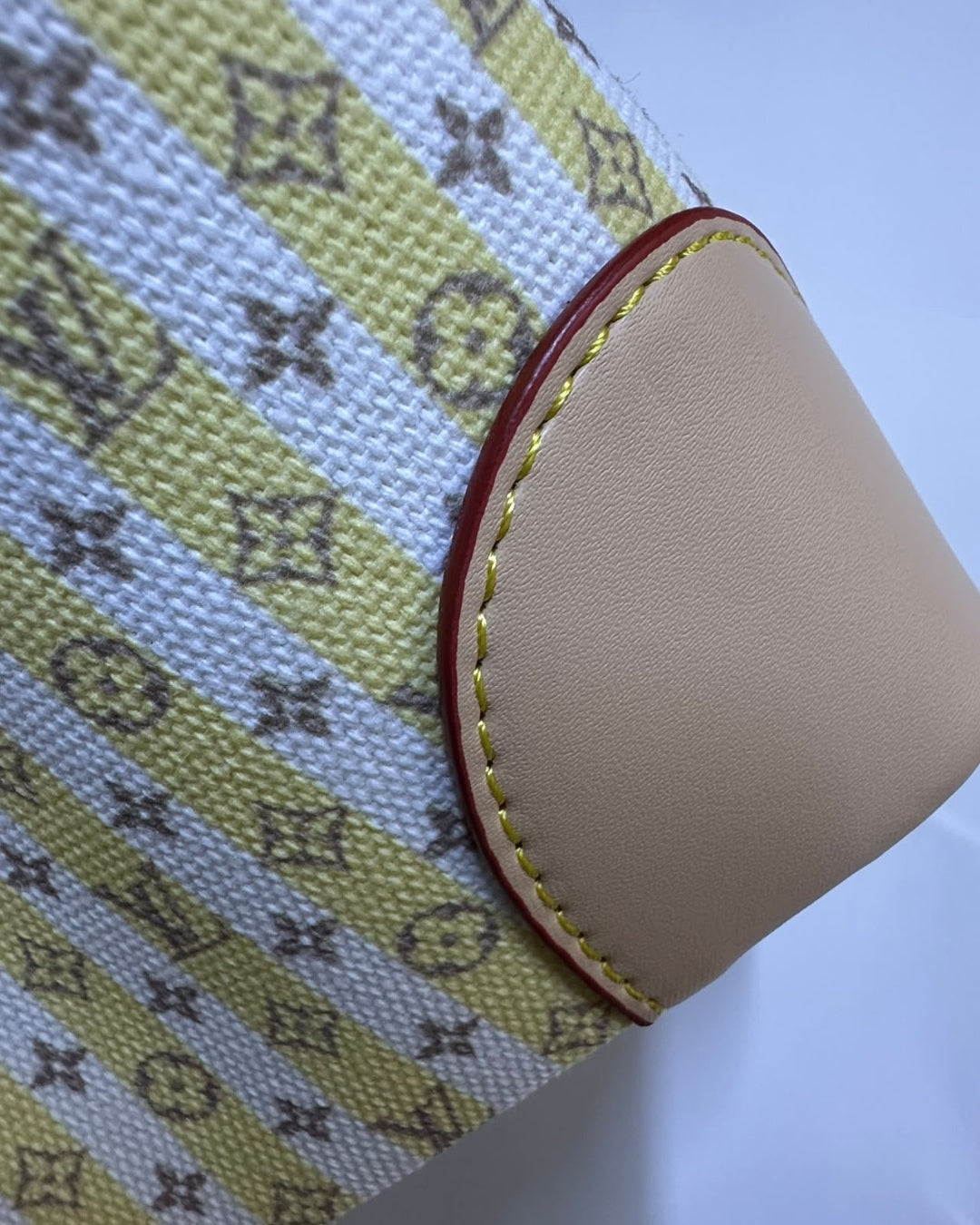 LV  Petite Bucket Bag 22cm