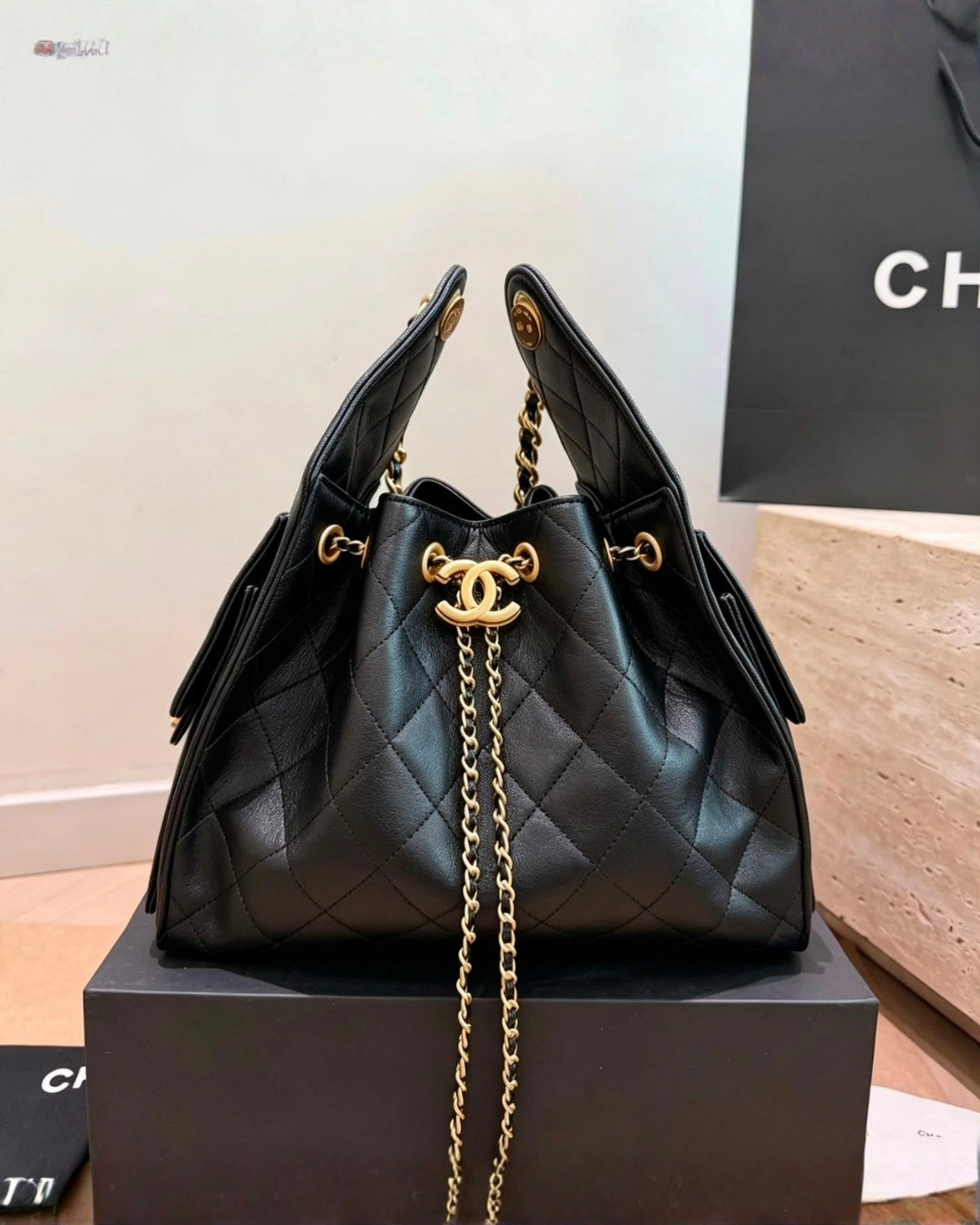 CHANEL 25 Bag