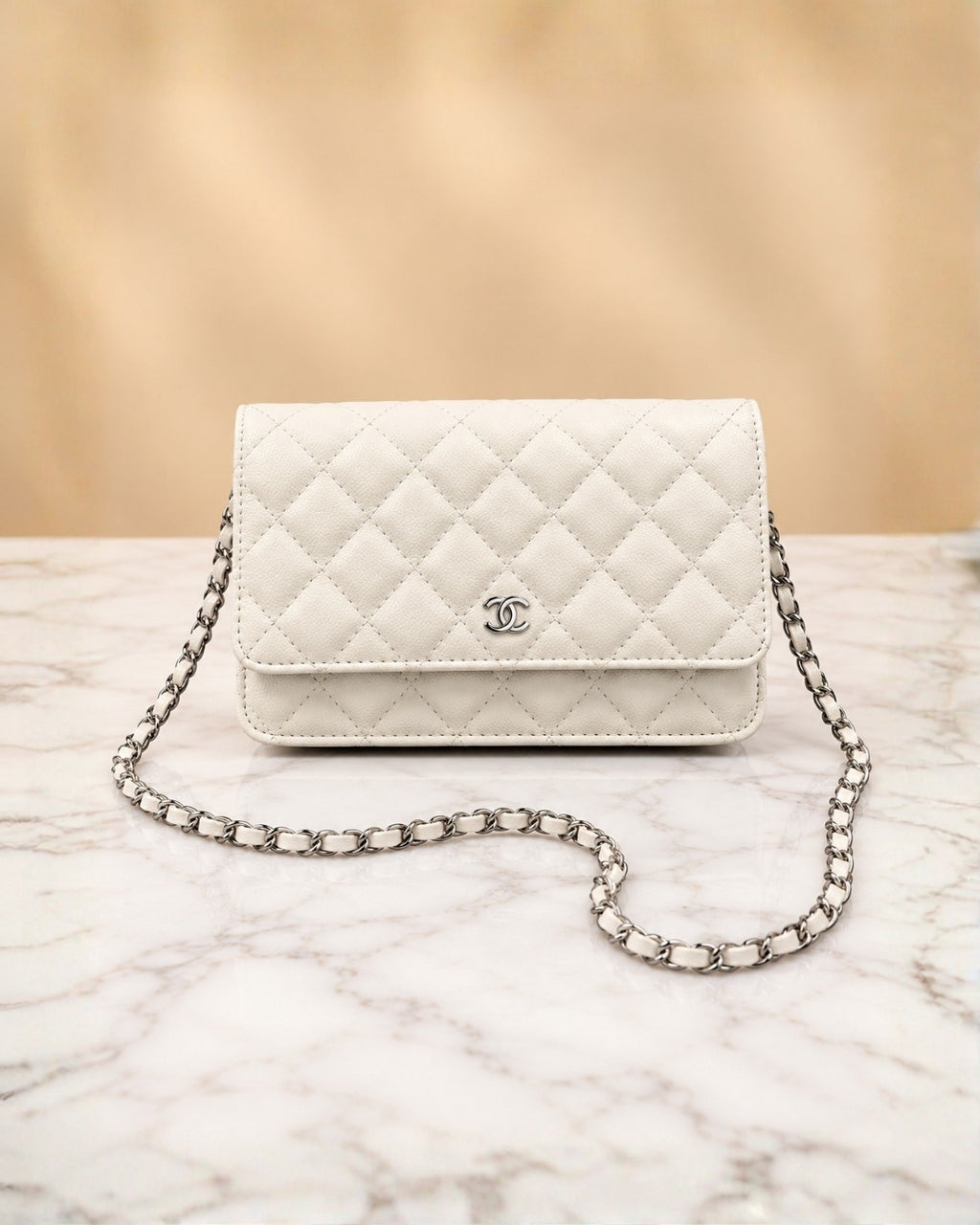 CHANEL Mini Quilted Flap Bag 20cm