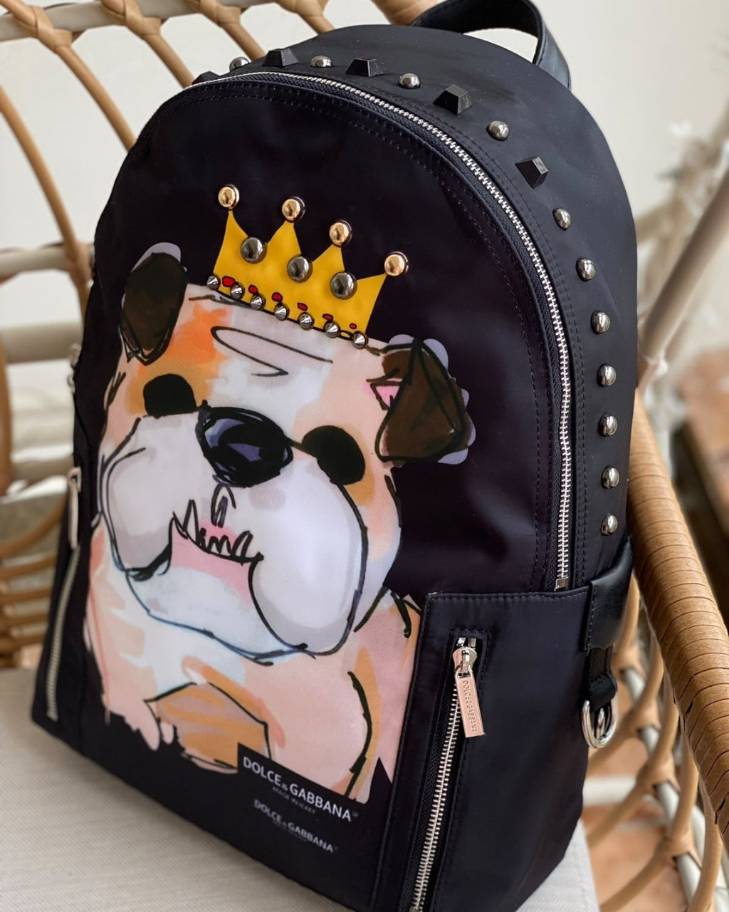 D&G Dog Backpack 40cm A+