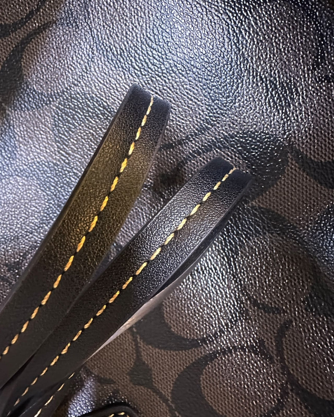 COACH Horse & Carriage Tote 43cm