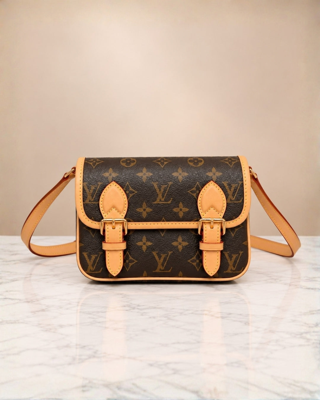 LV Crossbody Bag 22cm