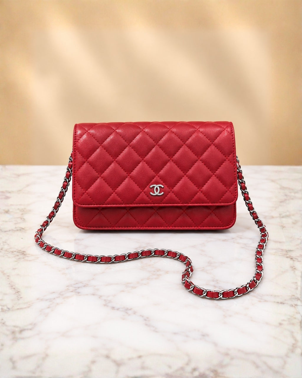 CHANEL Mini Quilted Flap Bag 20cm