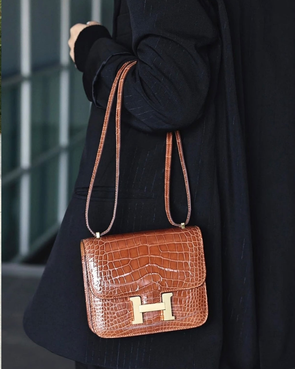 Hermès Croc Shoulder Bag 20cm