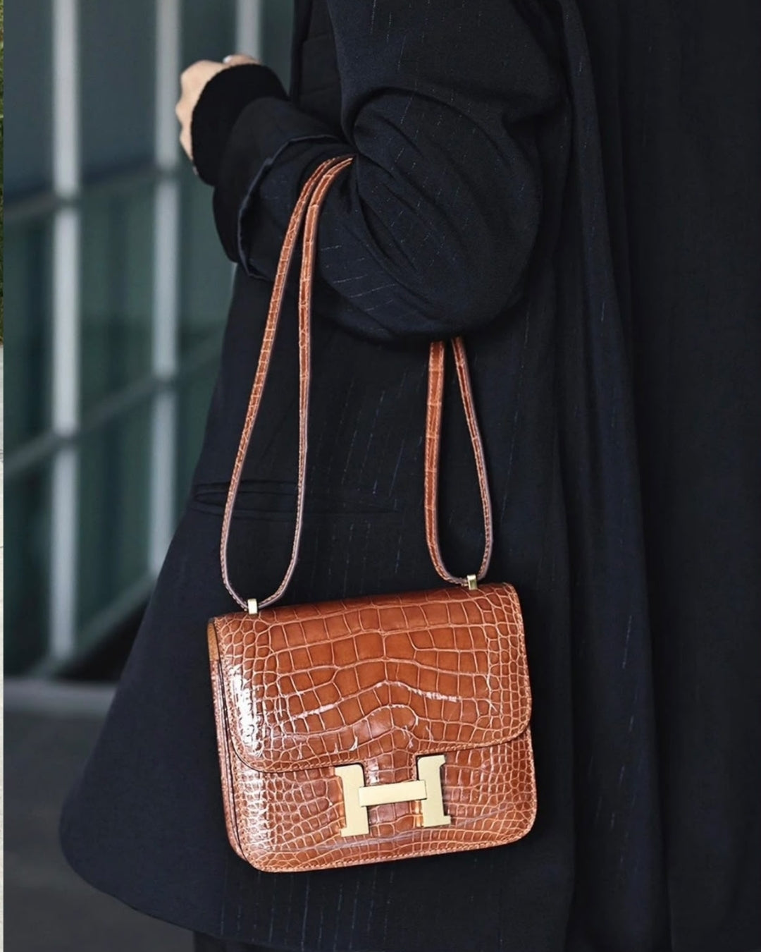 Hermès Croc Shoulder Bag 20cm