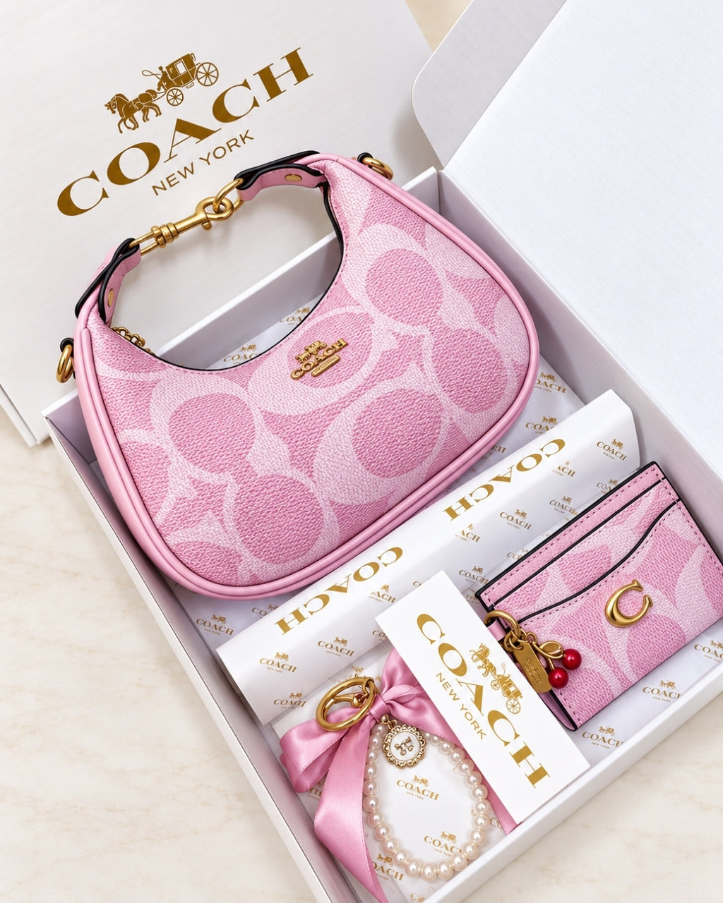 COACH Mini Hobo Gift Set 22cm