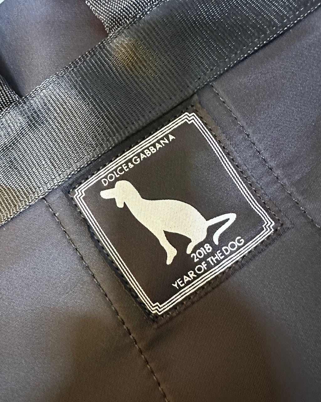 D&G Dog Backpack 40cm A+