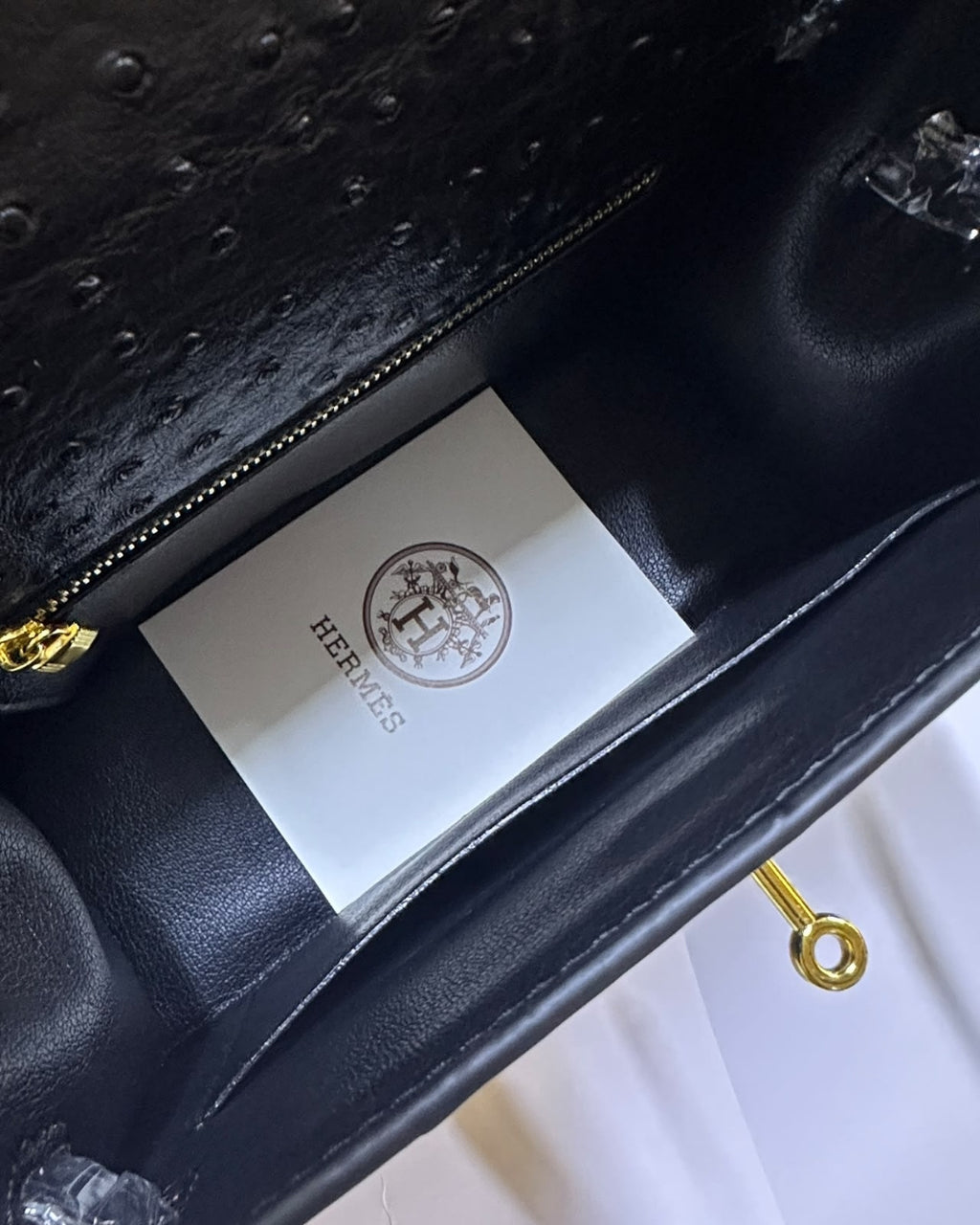 HERMES Kelly 25 Ostrich-Embossed Bag