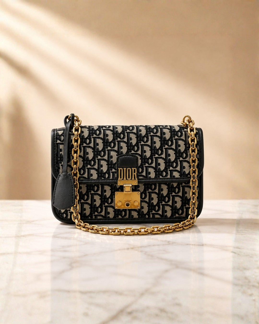 DIOR Chain Flap Bag 21cm Master