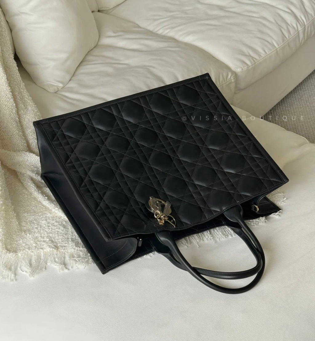 Dior Book Tote Large 41 CM Without Box