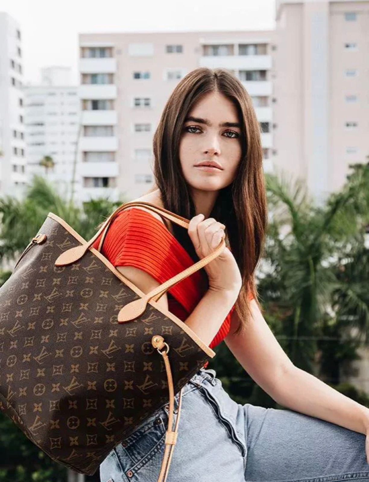 Louis Vuitton Neverfull With Box