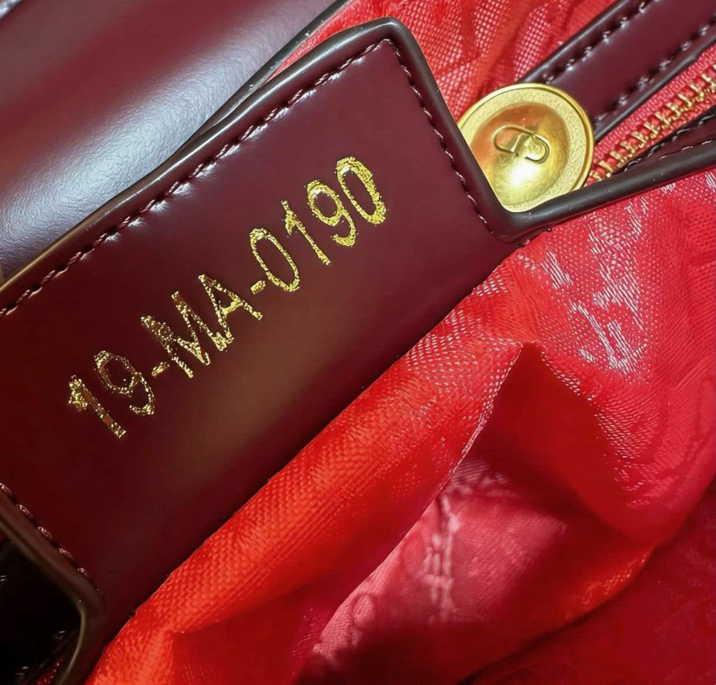 DIOR Saddle Bag — 24 cm | With Box