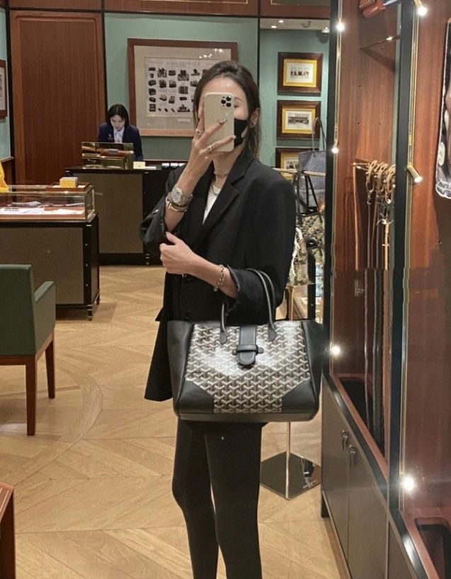 GOYARD Structured Monogram Top Handle Bag 33cm A+