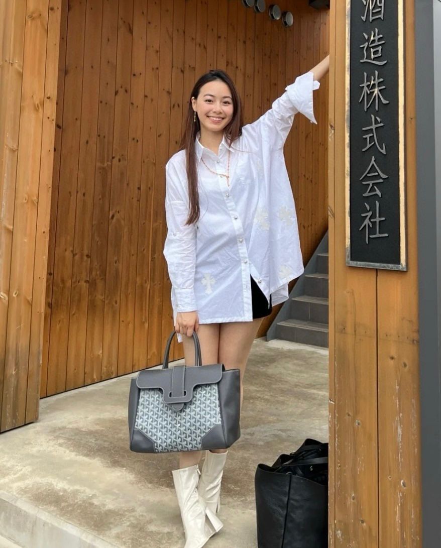 GOYARD Structured Monogram Top Handle Bag 33cm A+